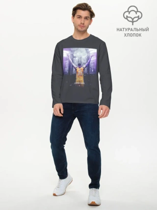 Мужской лонгслив базовый / Lebron
