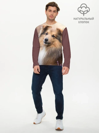 Мужской лонгслив базовый / Шелти