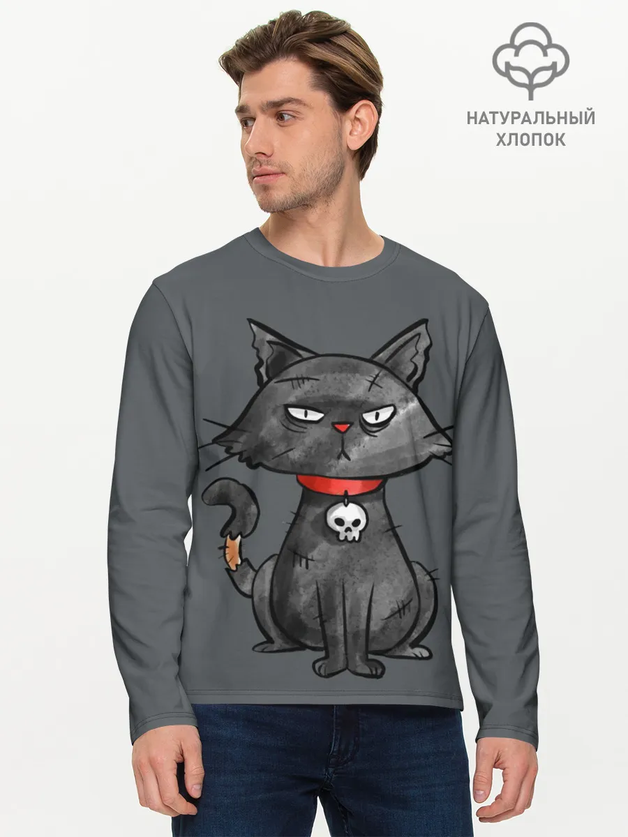 Мужской лонгслив базовый / Кот бедолага