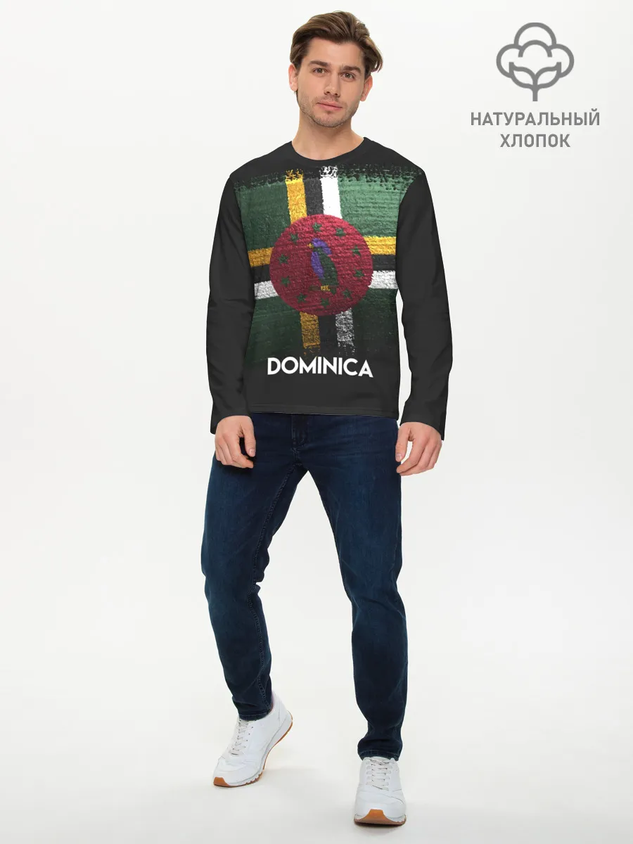 Мужской лонгслив базовый / DOMINICA