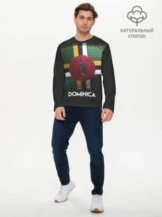 Мужской лонгслив базовый / DOMINICA