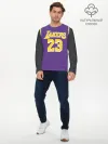 Мужской лонгслив базовый / James LA Lakers 2019