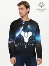 Мужской лонгслив базовый / DESTINY 2