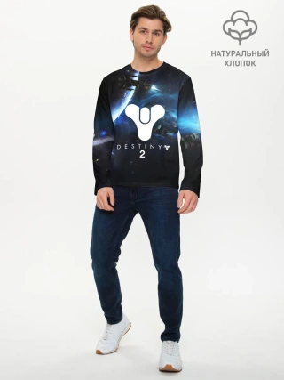 Мужской лонгслив базовый / DESTINY 2