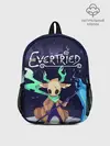 Рюкзак детский / EVERTRIED ГЛАВНЫЙ ГЕРОЙ,