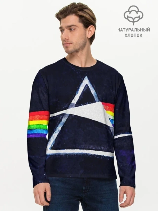 Мужской лонгслив базовый / PINK FLOYD