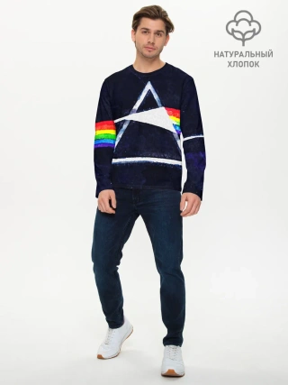 Мужской лонгслив базовый / PINK FLOYD