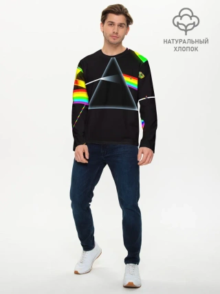 Мужской лонгслив базовый / PINK FLOYD