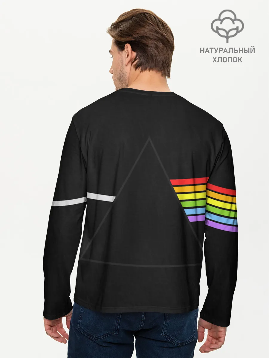 Мужской лонгслив базовый / PINK FLOYD