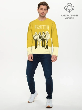 Мужской лонгслив базовый / Led Zeppelin