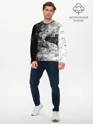 Мужской лонгслив базовый / Led Zeppelin