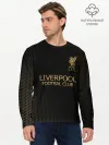 Мужской лонгслив базовый / Liverpool.