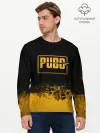Мужской лонгслив базовый / PUBG.
