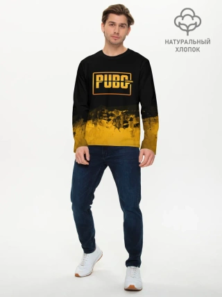 Мужской лонгслив базовый / PUBG.
