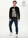 Мужской лонгслив базовый / THE LAST OF US