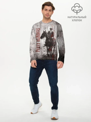 Мужской лонгслив базовый / Острые козырьки