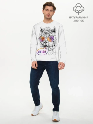 Мужской лонгслив базовый / Лама
