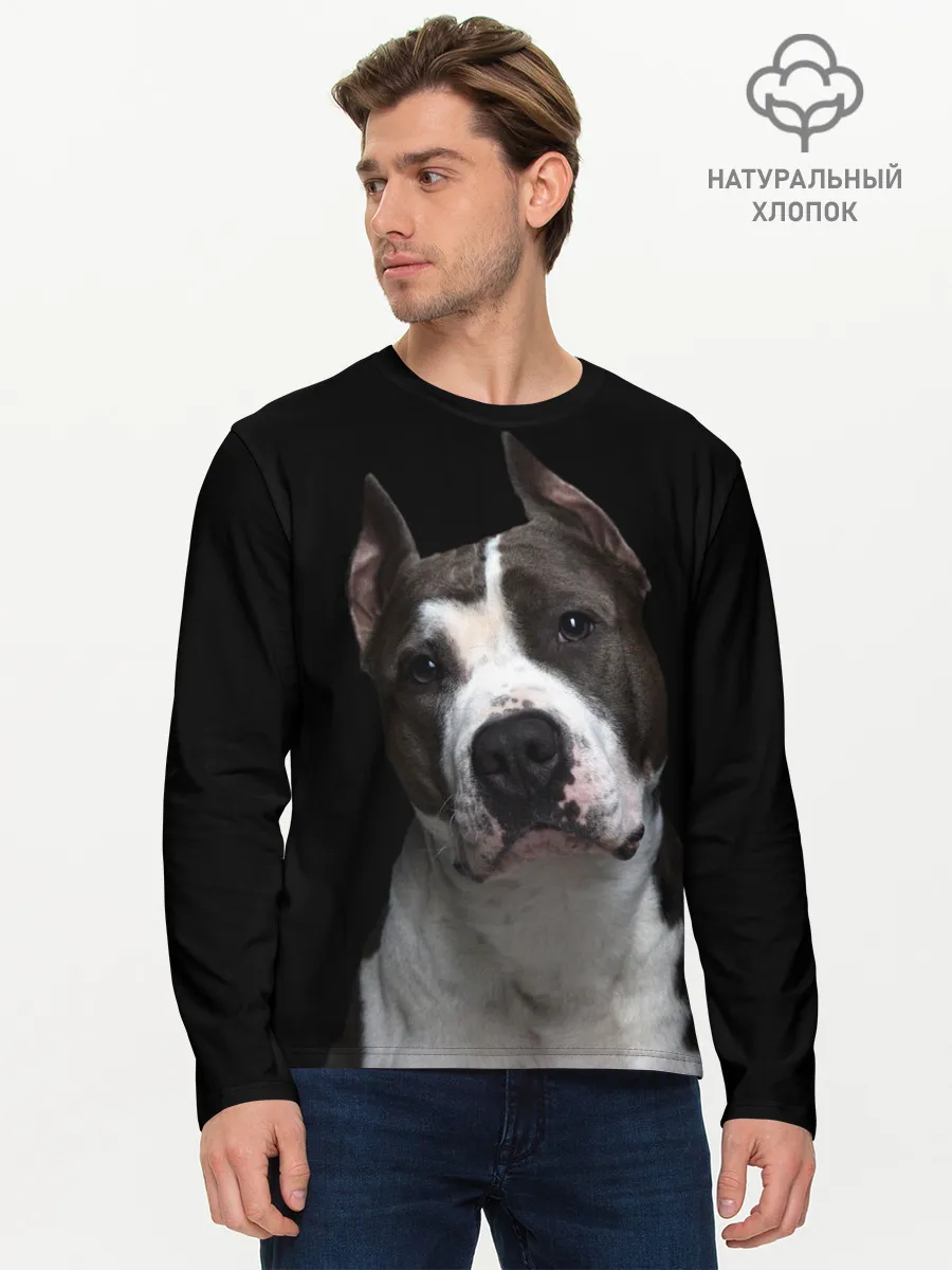 Мужской лонгслив базовый / Американский питбуль