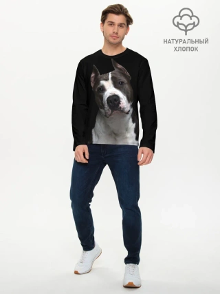 Мужской лонгслив базовый / Американский питбуль