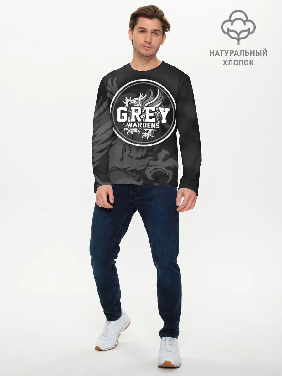 Мужской лонгслив базовый / Dragon Age