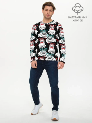 Мужской лонгслив базовый / Лягушки в очках