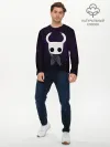 Мужской лонгслив базовый / Hollow Knight