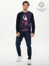 Мужской лонгслив базовый / Hollow Knight