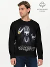 Мужской лонгслив базовый / Hollow Knight