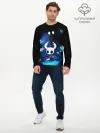 Мужской лонгслив базовый / Hollow Knight