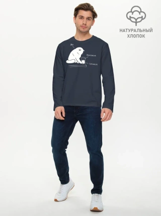 Мужской лонгслив базовый / Кот хулиган