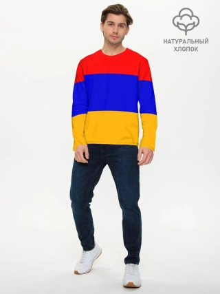 Мужской лонгслив базовый / Армения. Флаг.