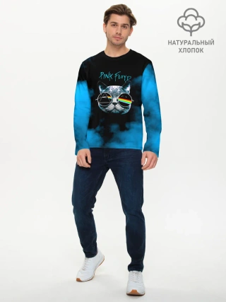 Мужской лонгслив базовый / Pink Floyd