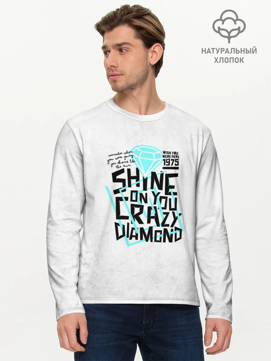 Мужской лонгслив базовый / Pink Floyd