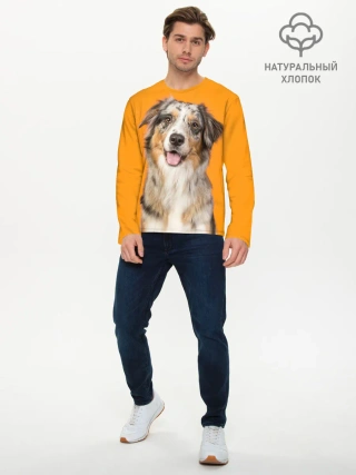 Мужской лонгслив базовый / Австралийская овчарка