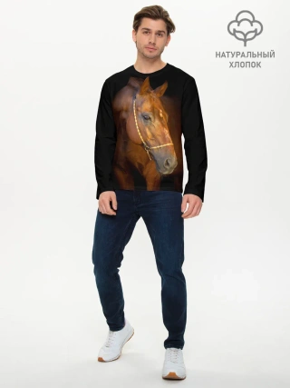 Мужской лонгслив базовый / Гнедая лошадь