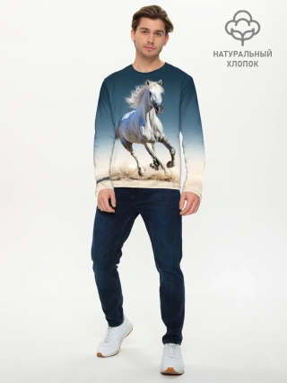 Мужской лонгслив базовый / Серый в яблоках конь