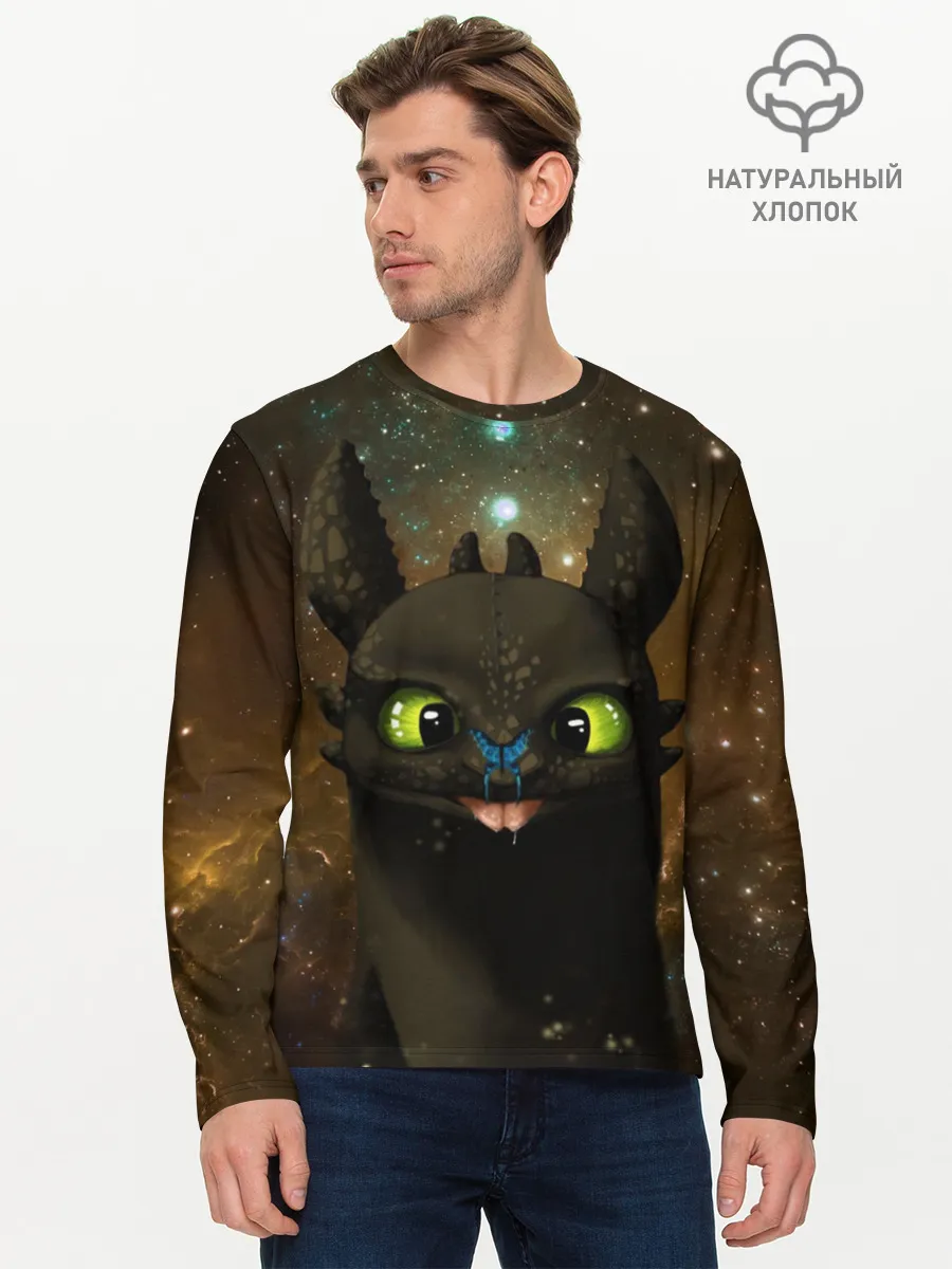 Мужской лонгслив базовый / Night Fury