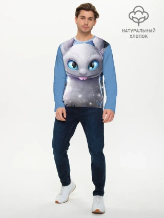 Мужской лонгслив базовый / дневная фурия