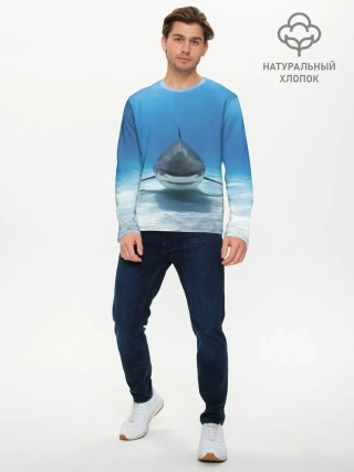 Мужской лонгслив базовый / Анфас