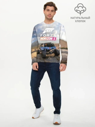 Мужской лонгслив базовый / Forza Horizon 5