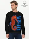 Мужской лонгслив базовый / NIRVANA SEAHORSE