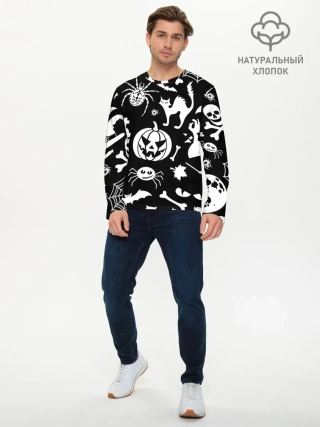 Мужской лонгслив базовый / Микс