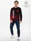 Мужской лонгслив базовый / МИТСУБИСИ sport