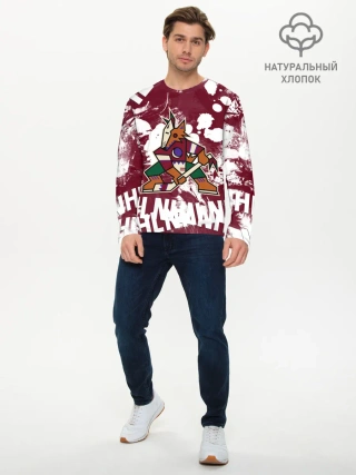 Мужской лонгслив базовый / Аризона Койотис, НХЛ