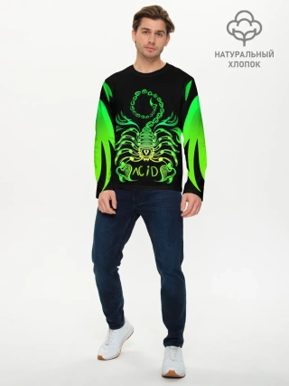 Мужской лонгслив базовый / Acid scorpion