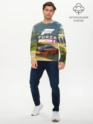 Мужской лонгслив базовый / Forza Horizon 5, игра