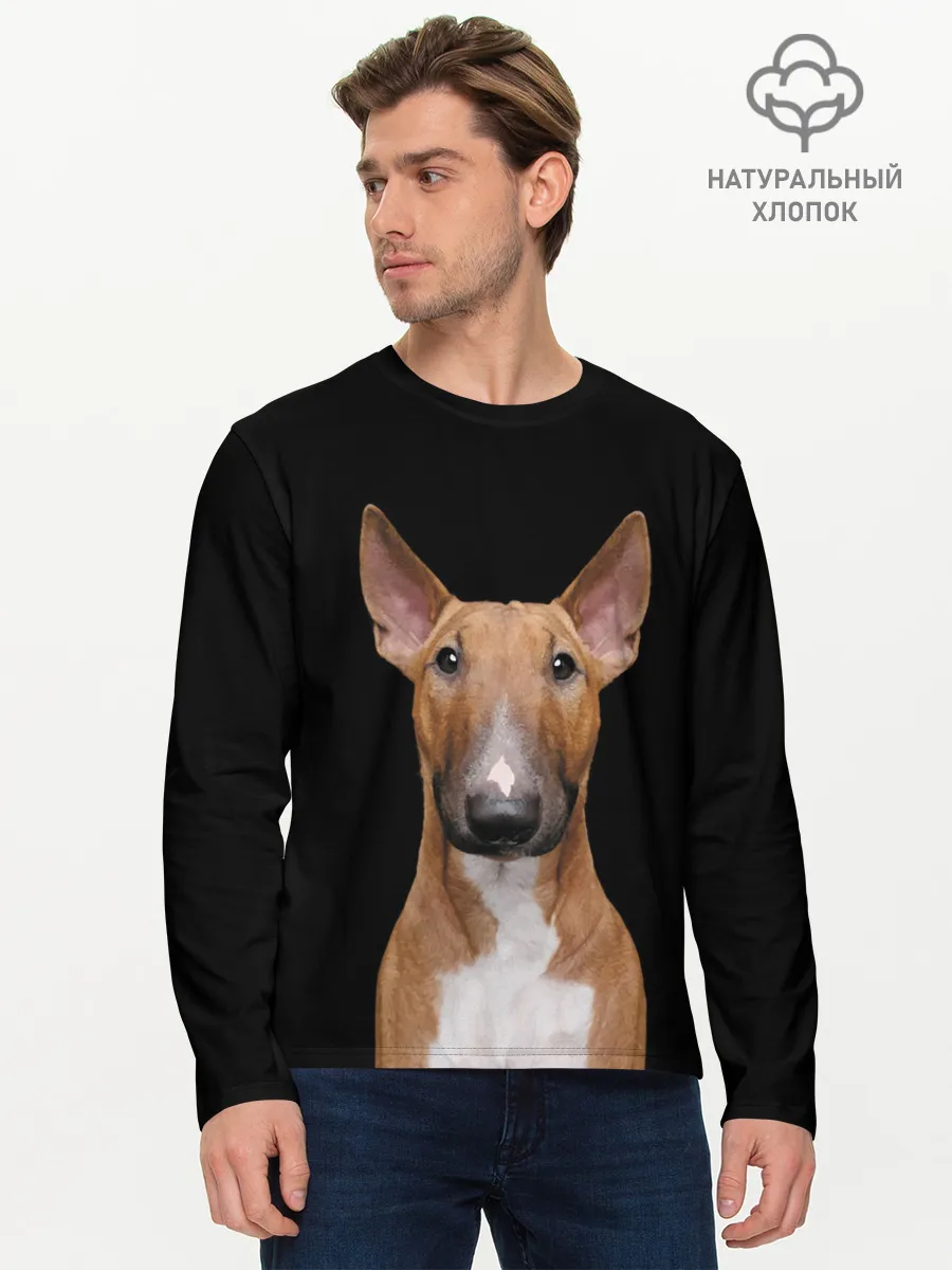 Мужской лонгслив базовый / Строгий смелый взгляд