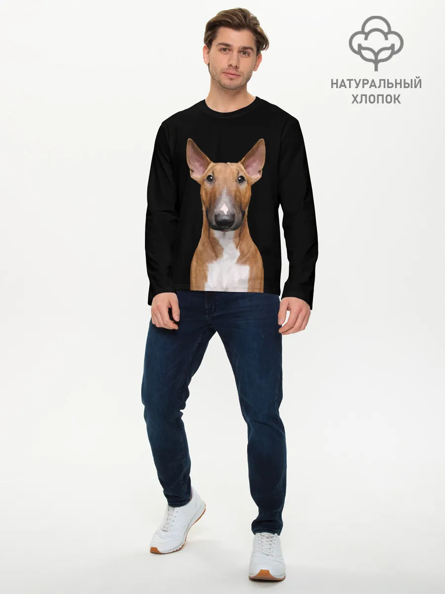 Мужской лонгслив базовый / Строгий смелый взгляд