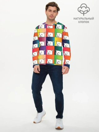 Мужской лонгслив базовый / Woman Yelling at Cat