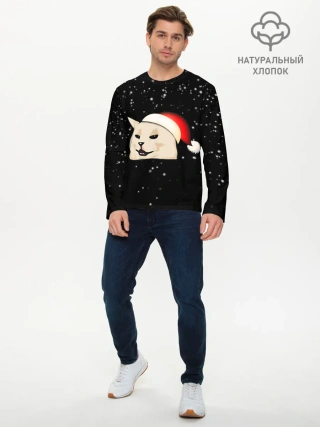 Мужской лонгслив базовый / woman yelling at cat